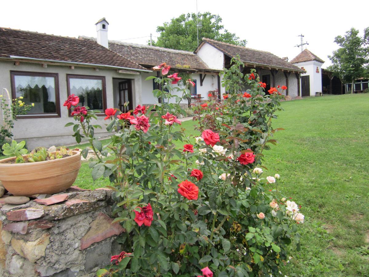 Guest House Vila Albedo Varna 外观 照片