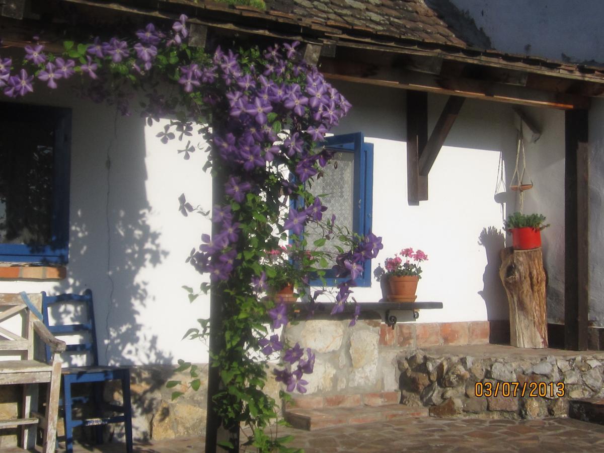 Guest House Vila Albedo Varna 外观 照片